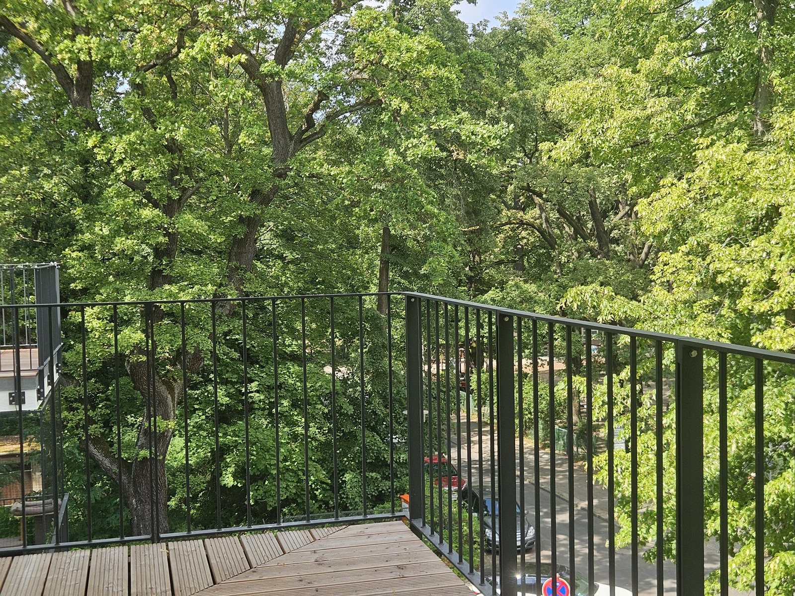 Ausblick von der Terrasse in die Baumkronen
